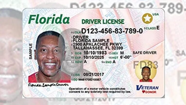 inmigrante en florida obten tu licencia de conducir