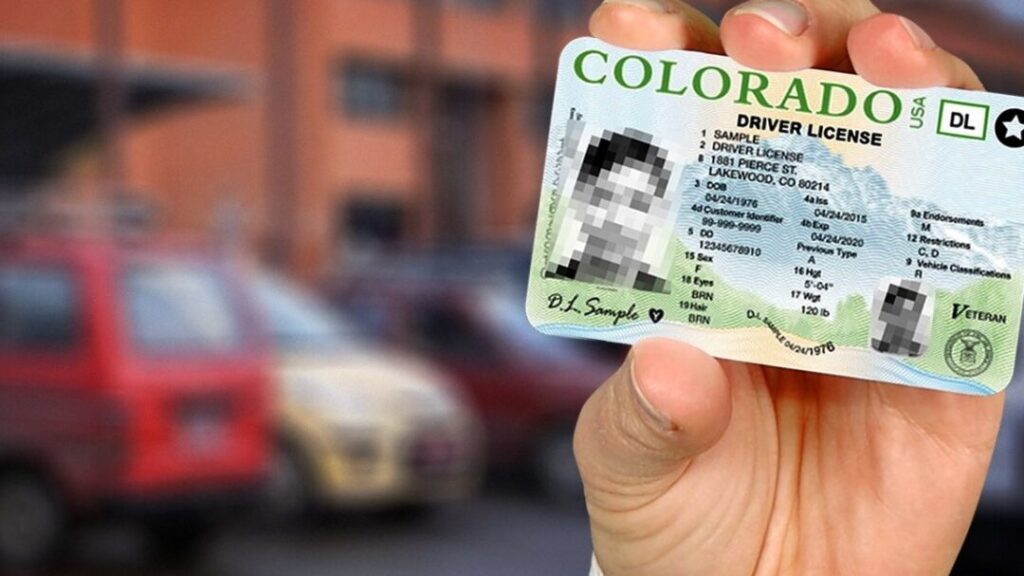 licencia de conducir en colorado 2024 guia completa