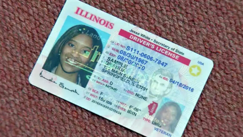 licencia de conducir en illinois guia paso a paso