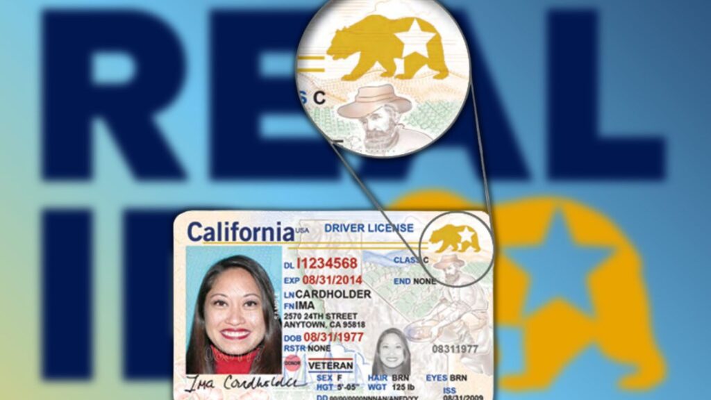 licencias para indocumentados en california requisitos y opciones