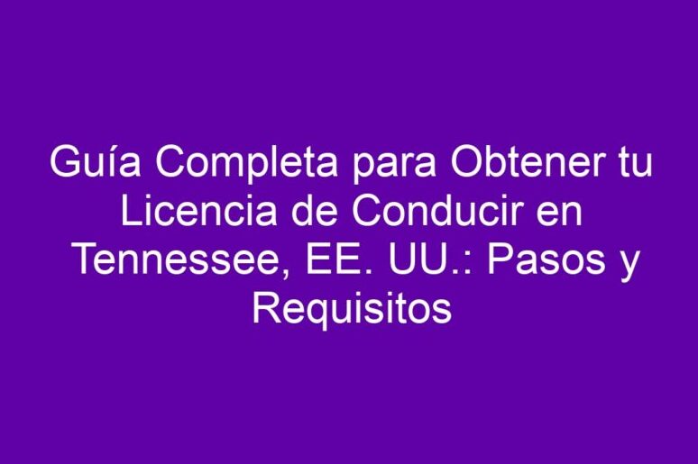 obten tu licencia en tennessee guia completa de requisitos