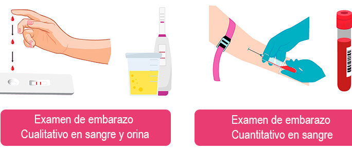 prueba de embarazo de sangre requisitos y procedimiento