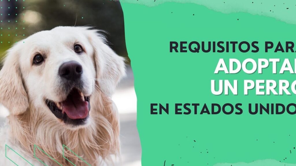 requisitos para tener un perro en estados unidos