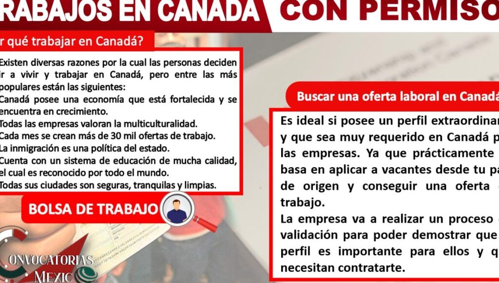 trabajar en canada requisitos y oportunidades